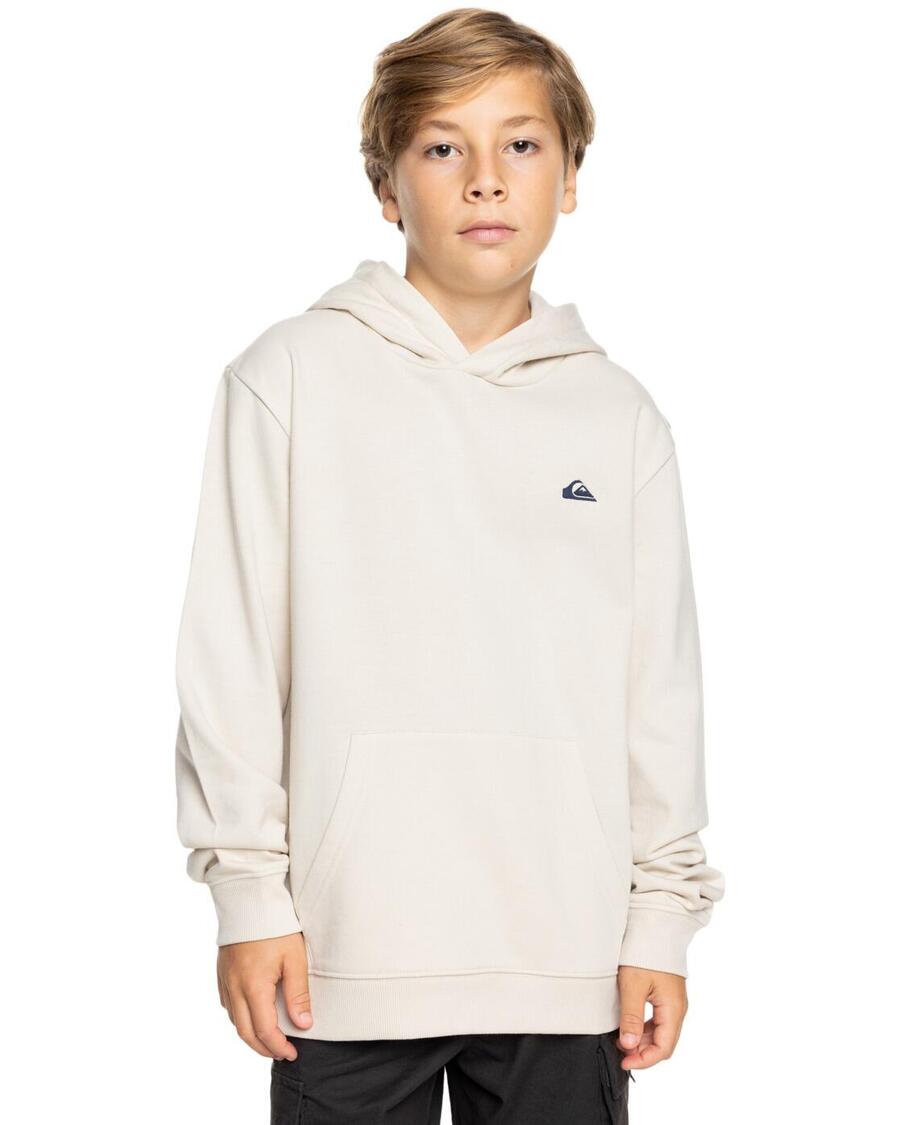 QUIKSILVER Толстовка BASIC White Boy
QUIKSILVER Толстовка BASIC White Boy