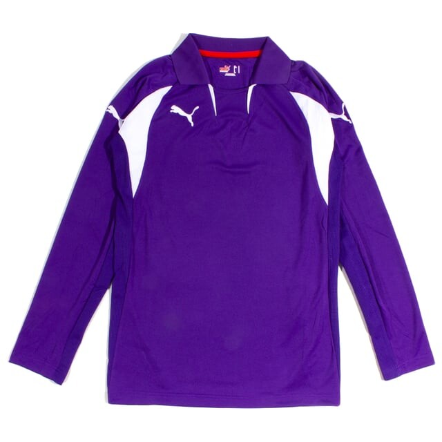 Светло-Фиолетовая мужская футбольная футболка V series с длинными рукавами 700384 07 Puma, фиолетовый
Светло-Фиолетовая мужская футбольная футболка V series с длинными рукавами 700384 07 Puma, фиолетовый