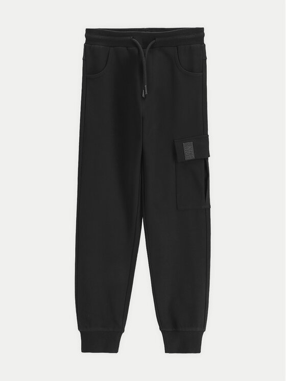 Спортивные брюки обычного кроя WC5120102VBA Coccodrillo, черный
Спортивные брюки обычного кроя WC5120102VBA Coccodrillo, черный