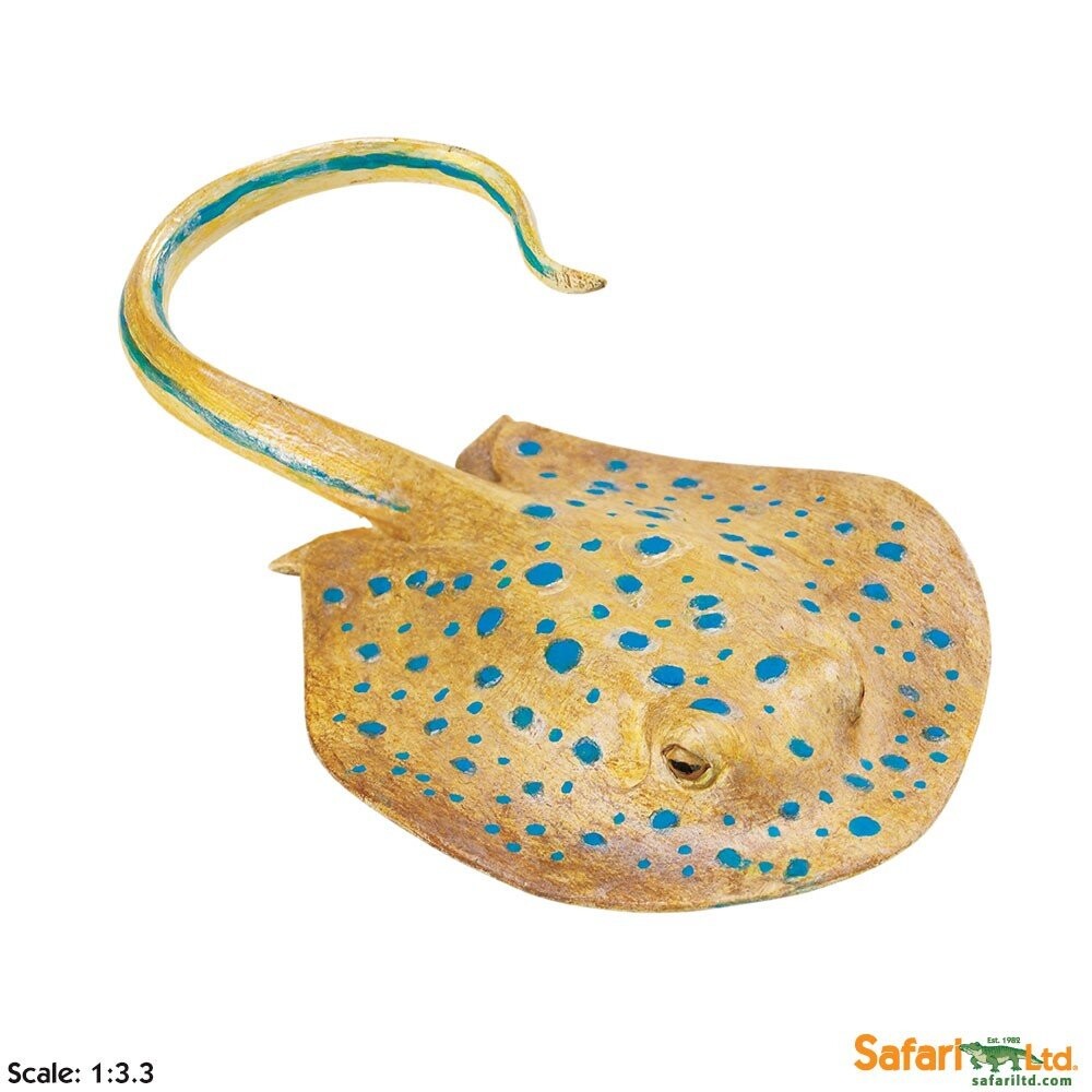 Safari Ltd 267329 Сковорода синяя морилка 16х8,5х1,5см
Safari Ltd 267329 Сковорода синяя морилка 16х8,5х1,5см