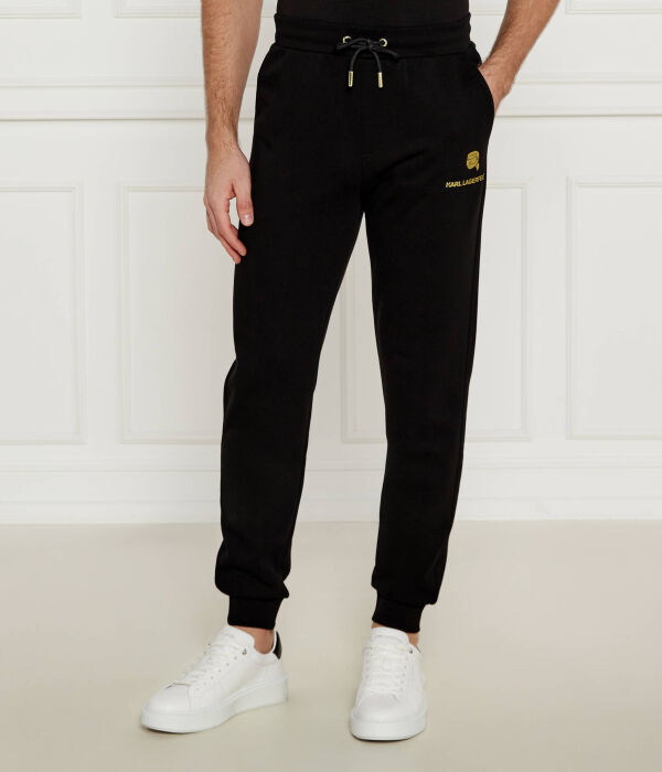 Спортивные штаны мужские Karl Lagerfeld с золотым принтом, черный
Спортивные штаны мужские Karl Lagerfeld с золотым принтом, черный