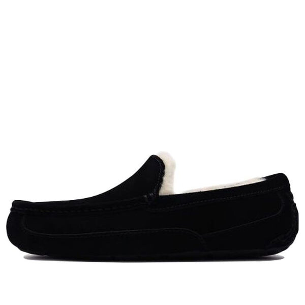 Кроссовки ascot 'black' Ugg, черный
Кроссовки ascot 'black' Ugg, черный