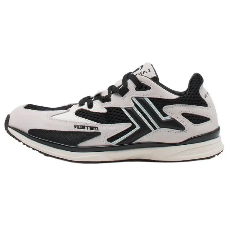 Lanvin Низкие повседневные туфли Meteor, черные, мужские
Lanvin Низкие повседневные туфли Meteor, черные, мужские