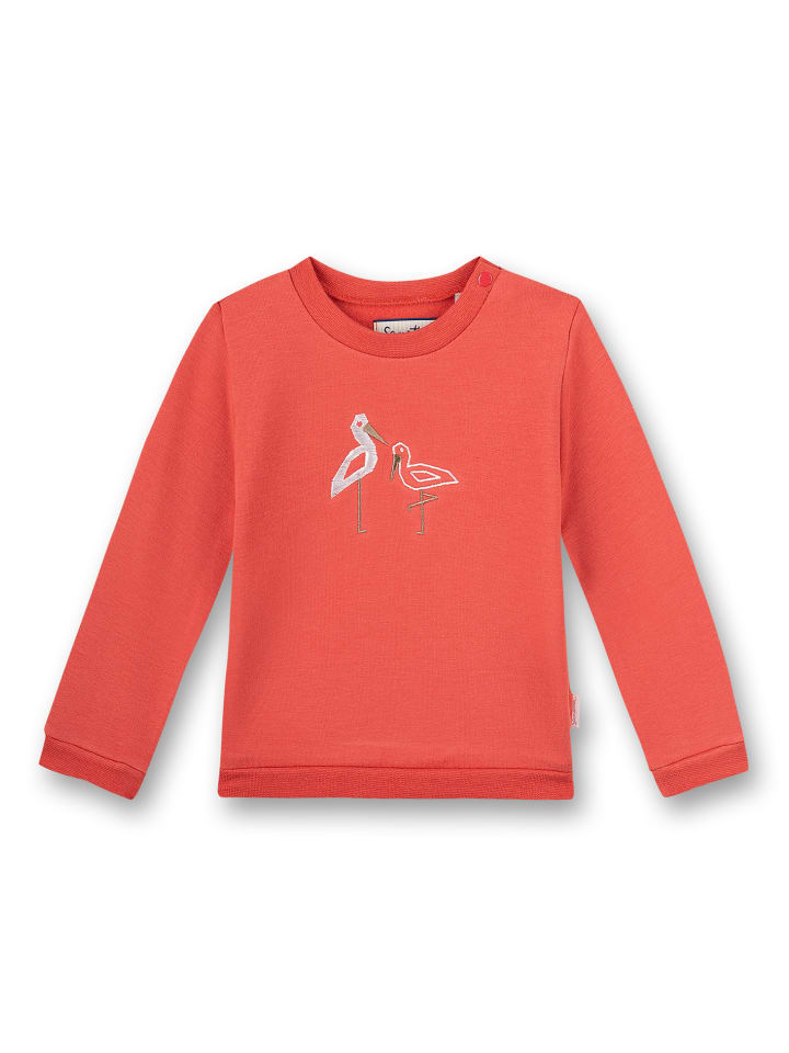 Толстовка красного цвета Sanetta
Толстовка красного цвета Sanetta