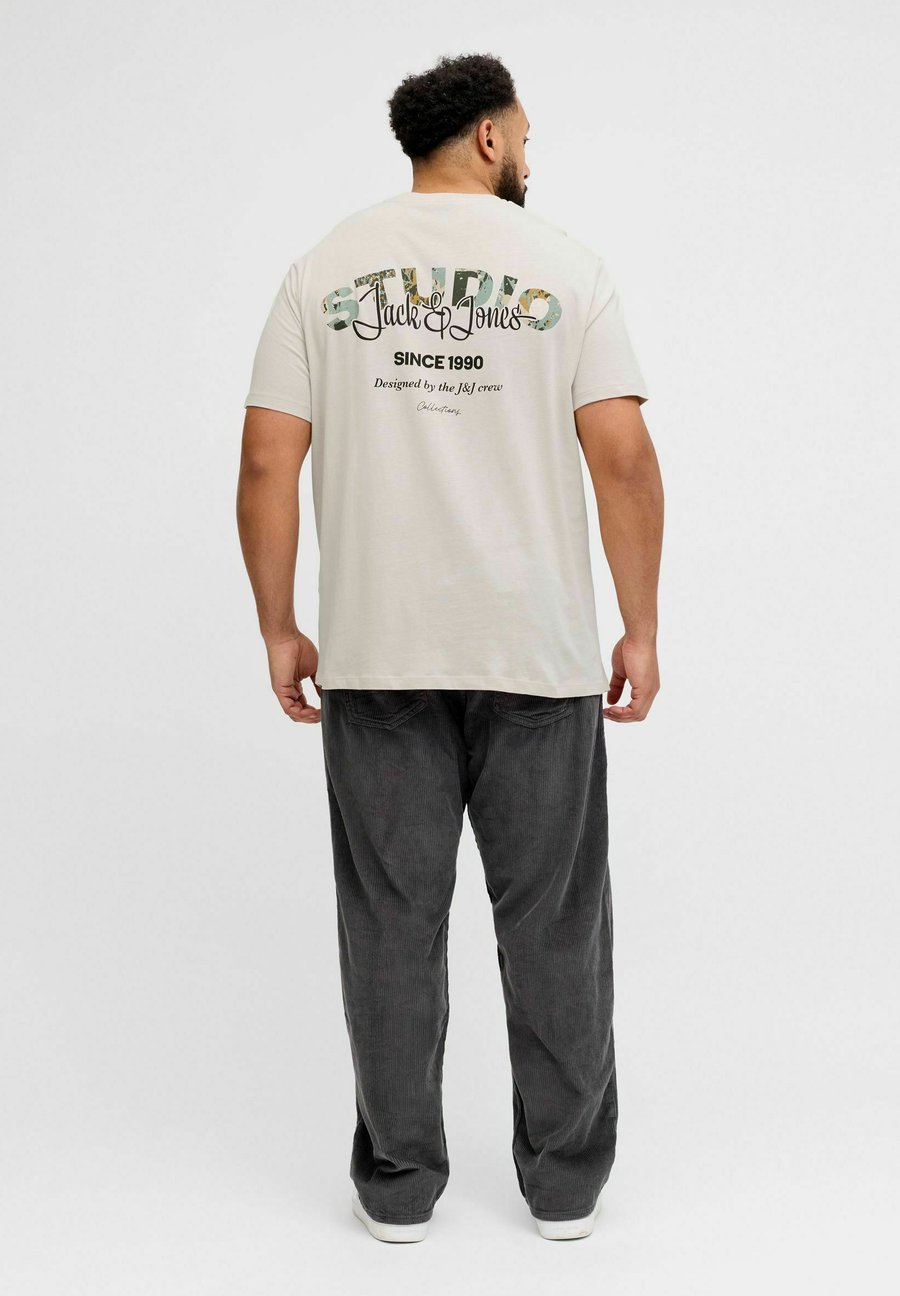 Футболка Jack & Jones PLUS SIZE , Moonbeam/Off-White
Футболка Jack & Jones PLUS SIZE , Moonbeam/Off-White