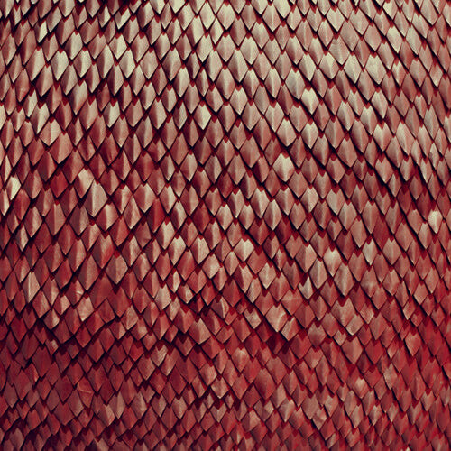 CD диск Kill the Vultures: Carnelian 
CD диск Kill the Vultures: Carnelian