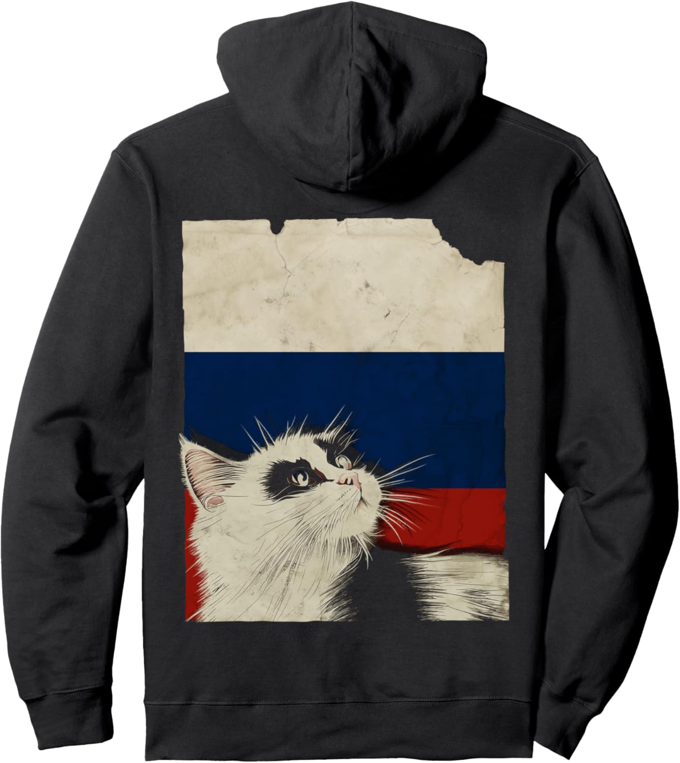 Толстовка с изображением русского кота Vintage Russia Kitten Rossiya Cat, черный
Толстовка с изображением русского кота Vintage Russia Kitten Rossiya Cat, черный