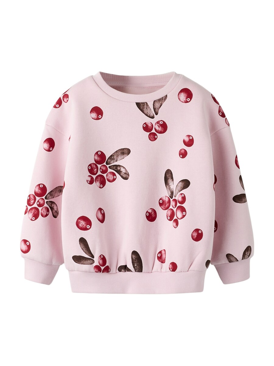 Толстовка NAME IT NMFSISSY, Rose
Толстовка NAME IT NMFSISSY, Rose