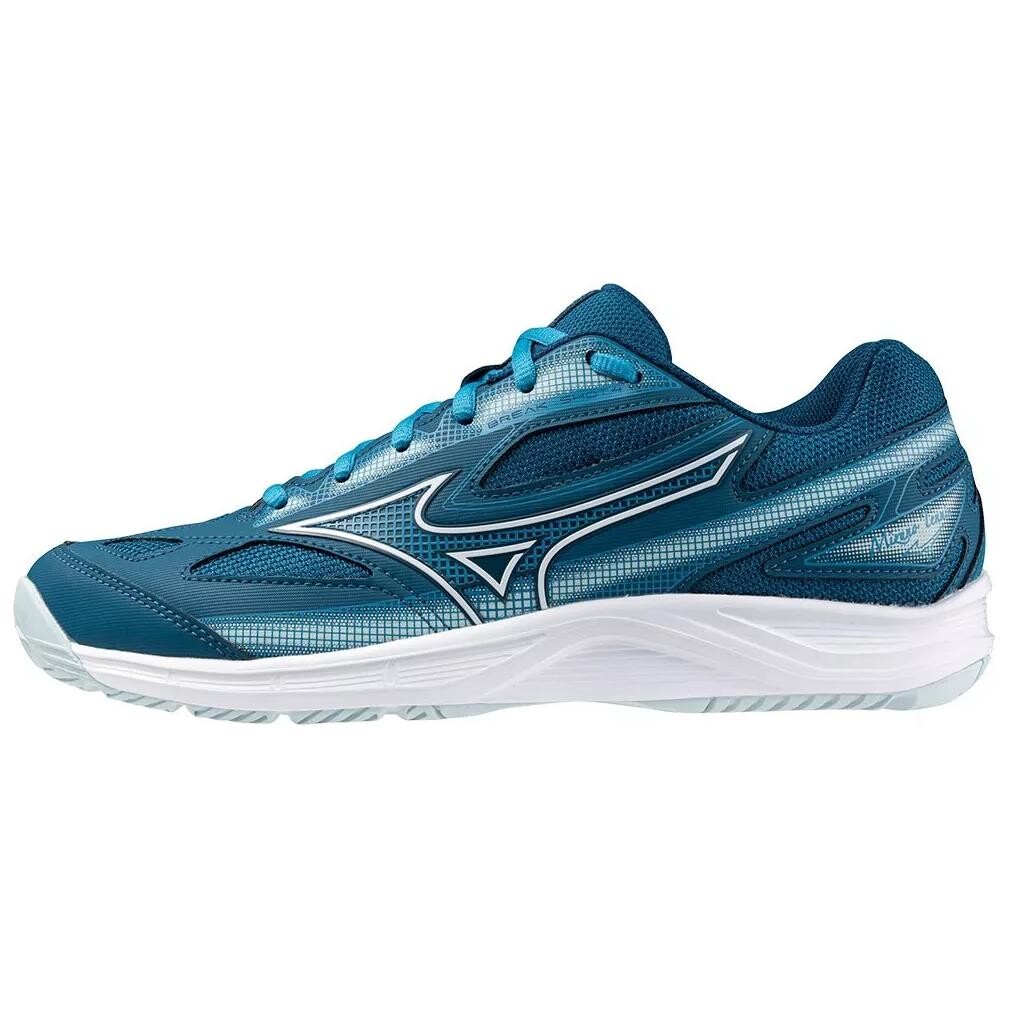Кроссовки Mizuno Tennis Shoes Men Low-top Blue/white, синий/белый
Кроссовки Mizuno Tennis Shoes Men Low-top Blue/white, синий/белый