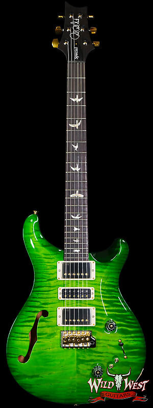 Paul Reed Smith PRS Core Series 10 Top Special Semi-Hollow (Special 22) Eriza Verde Wrap Burst 
Paul Reed Smith PRS Core Series 10 Top Special Semi-Hollow (Special 22) Eriza Verde Wrap Burst