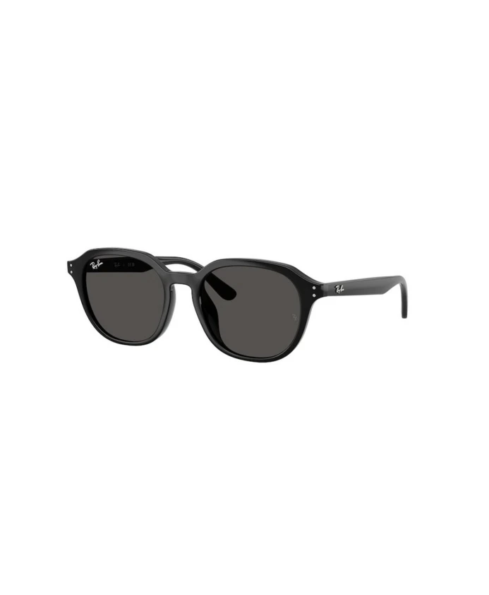 Солнцезащитные очки Rb4459D Ray-Ban, черный
Солнцезащитные очки Rb4459D Ray-Ban, черный