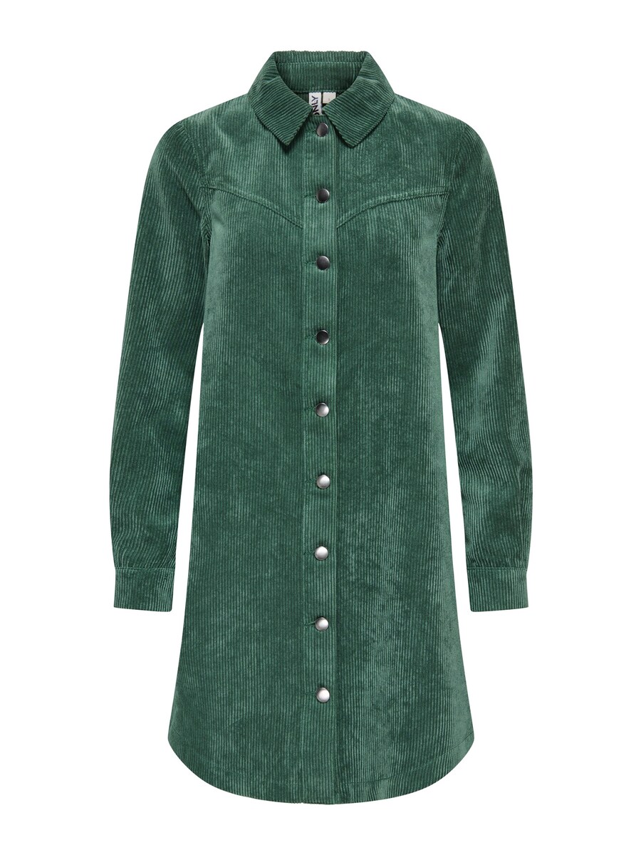Платье-рубашка ONLY ONLTRACY, Dark green
Платье-рубашка ONLY ONLTRACY, Dark green