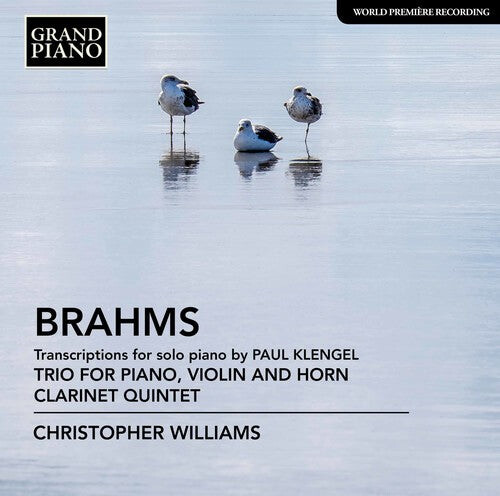 CD диск Brahms / Williams: Trio for Piano / Violin & Horn
CD диск Brahms / Williams: Trio for Piano / Violin & Horn