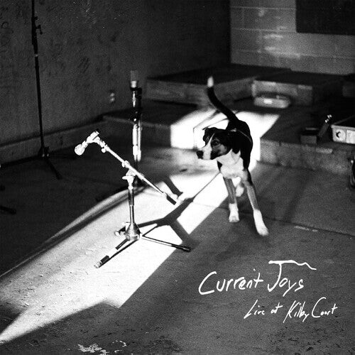 Виниловая пластинка Current Joys: Live At Kilby Court
Виниловая пластинка Current Joys: Live At Kilby Court