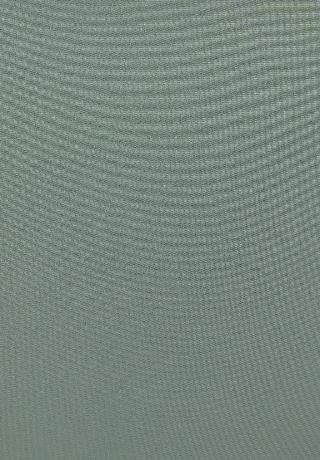 Плавки бикини Sunseeker, оливковый
Плавки бикини Sunseeker, оливковый