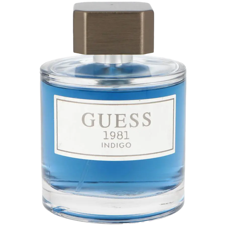 Guess 1981 Indigo туалетная вода для мужчин, 100 мл
Guess 1981 Indigo туалетная вода для мужчин, 100 мл