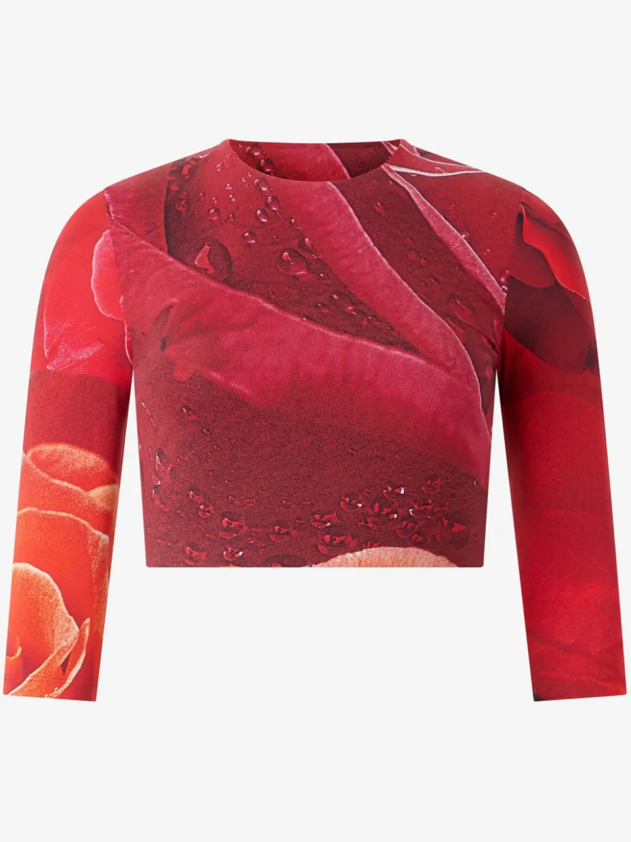 Футболка с принтом розы Roberto Cavalli, красный
Футболка с принтом розы Roberto Cavalli, красный