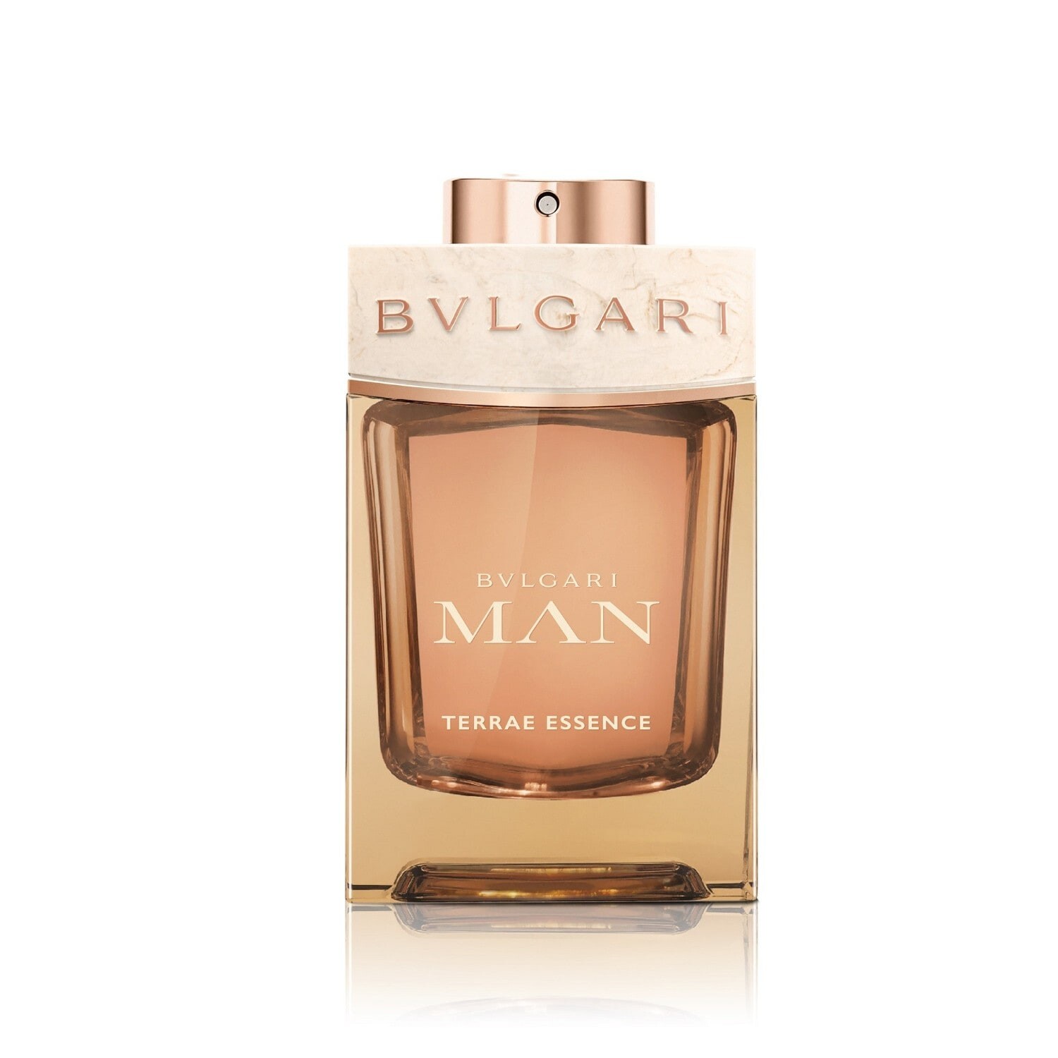 Туалетная вода BVLGARI Man Terrae Essence, 100 мл
Туалетная вода BVLGARI Man Terrae Essence, 100 мл
