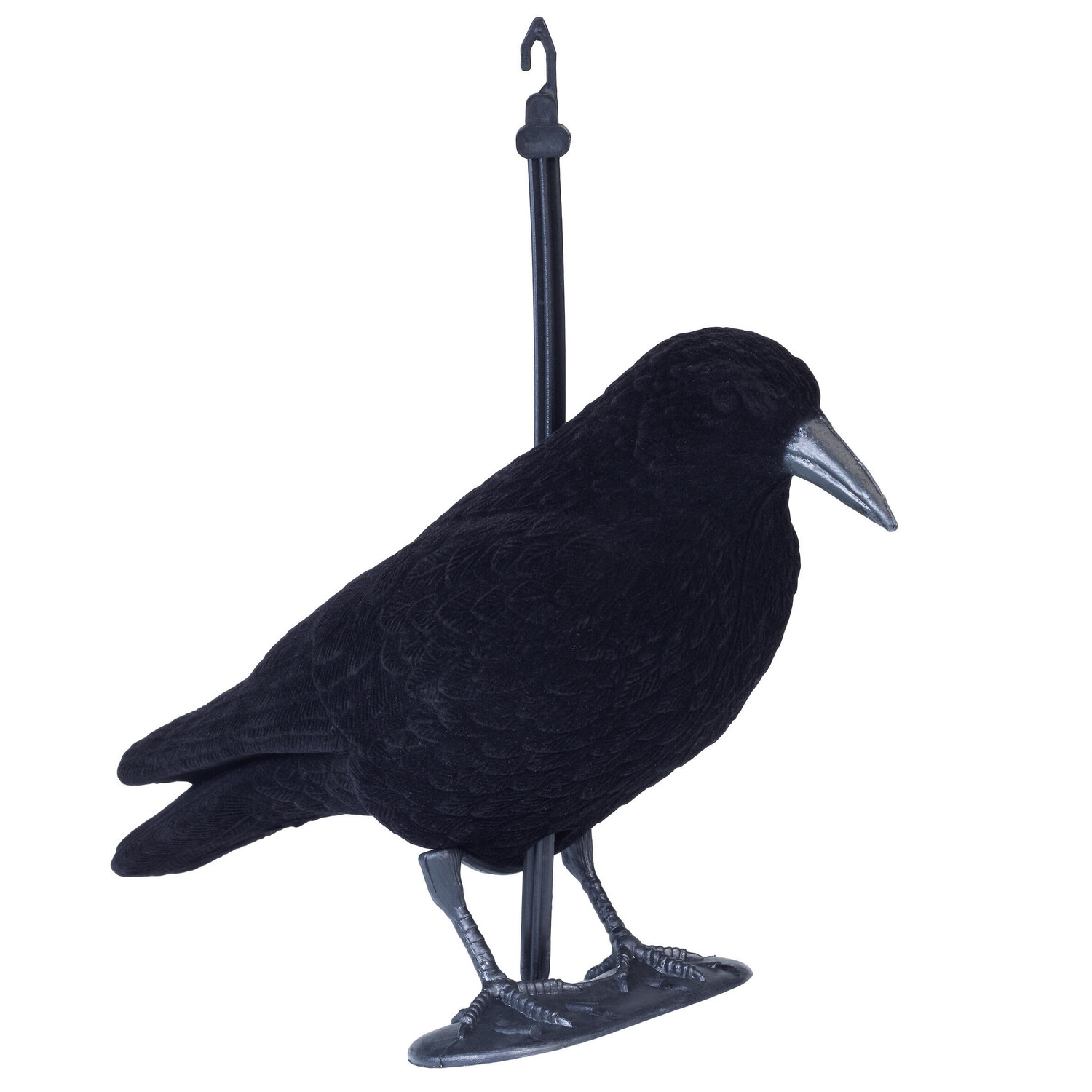 Ворона Stepland Cimbel Flocado 
Ворона Stepland Cimbel Flocado