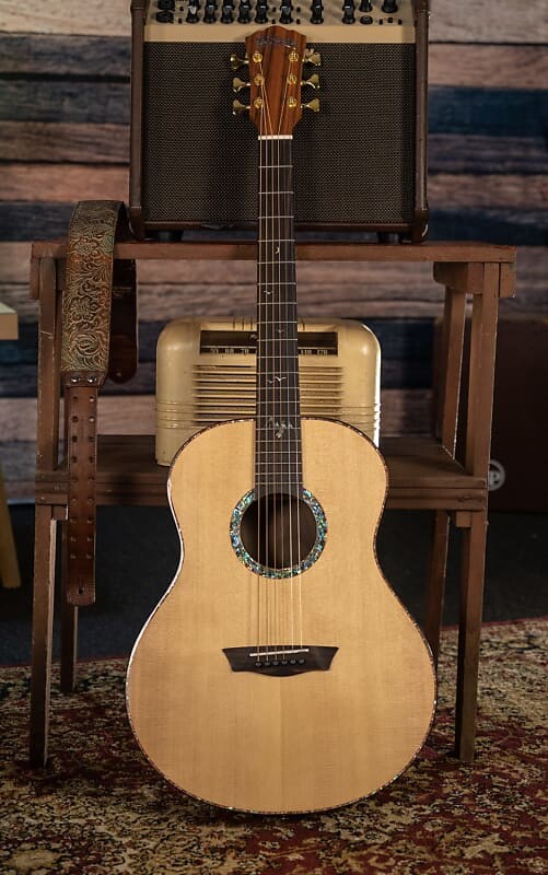 Акустическая гитара Washburn BTS24S Bella Tono Elegante Spruce Top Mahogany Neck 6-String Classical Acoustic Guitar
Акустическая гитара Washburn BTS24S Bella Tono Elegante Spruce Top Mahogany Neck 6-String Classical Acoustic Guitar