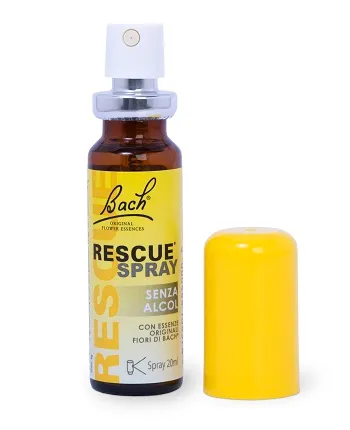 Bach Rescue Spray без алкоголя 20 мл Добавка при тревоге
Bach Rescue Spray без алкоголя 20 мл Добавка при тревоге