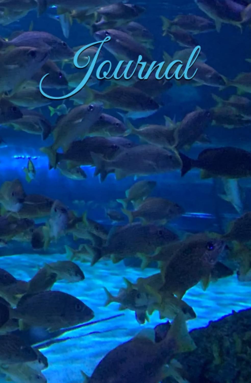 Under Water Journal
Under Water Journal