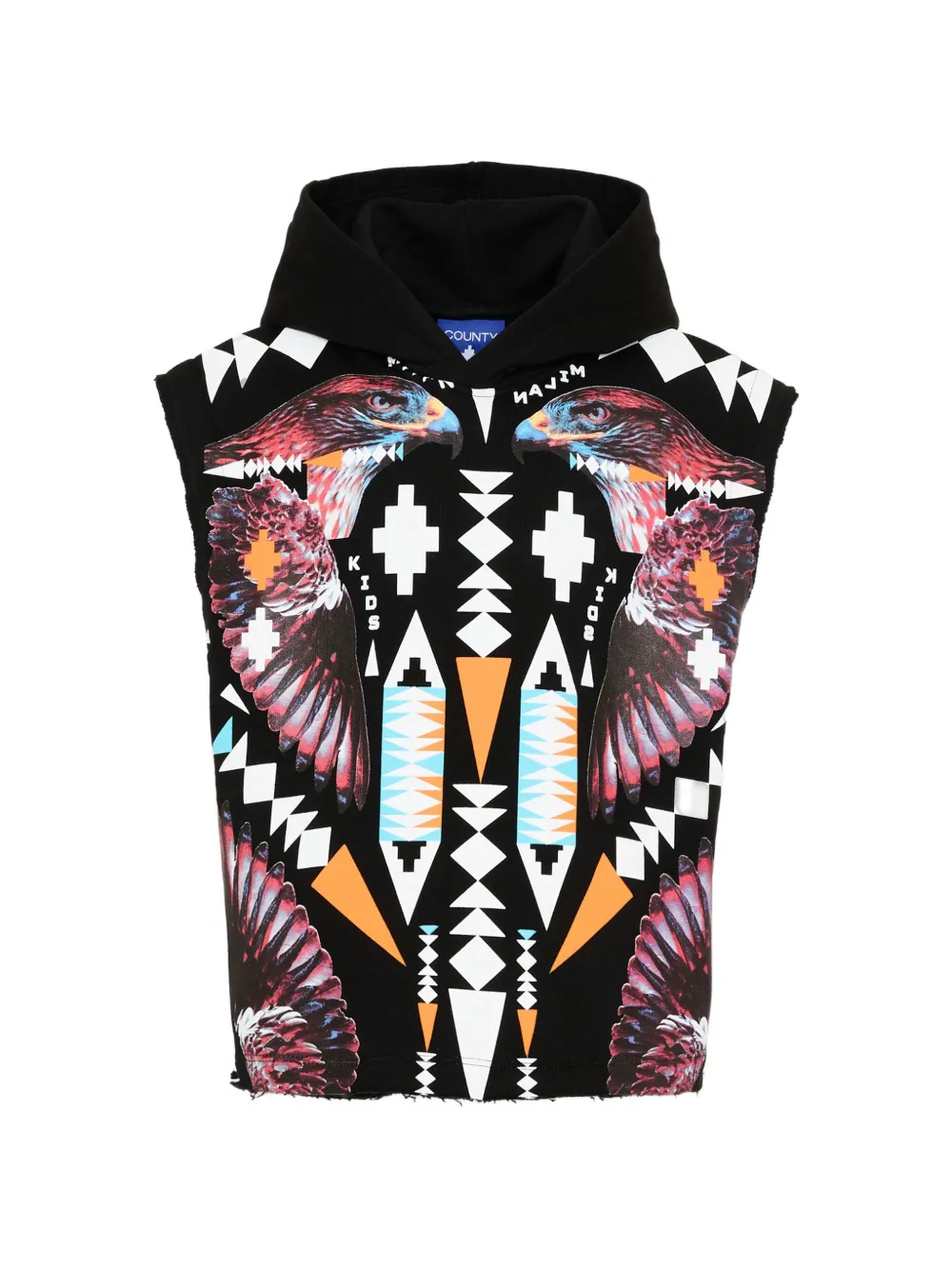 Безрукавка с капюшоном и принтом County Of Milan, черный
Безрукавка с капюшоном и принтом County Of Milan, черный