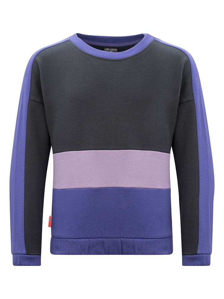 Лонгслив Trollkids Sweatshirt Verdal, фиолетовый
Лонгслив Trollkids Sweatshirt Verdal, фиолетовый