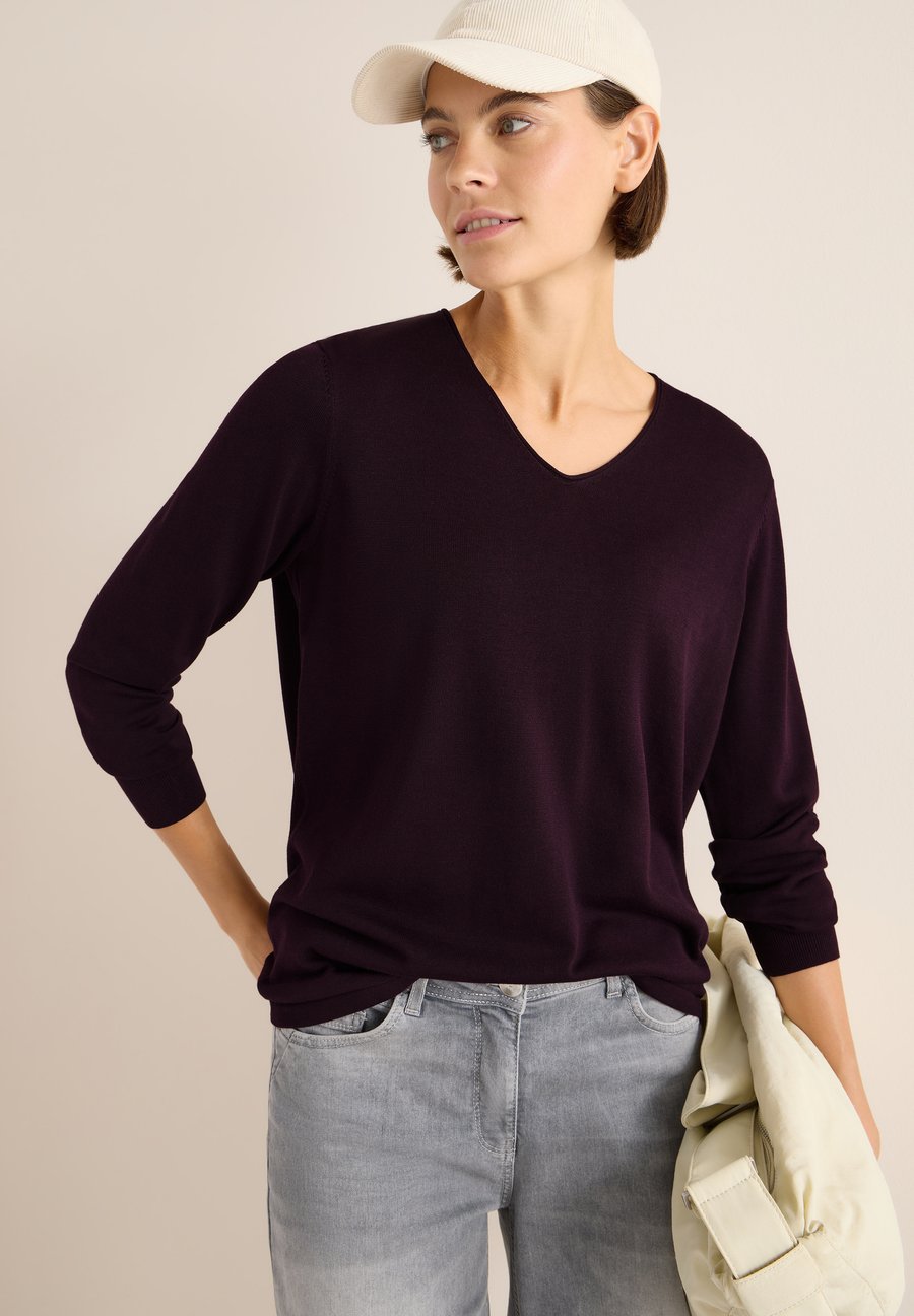 Джемпер Cecil BASIC, Rot/Mottled Dark Purple
Джемпер Cecil BASIC, Rot/Mottled Dark Purple