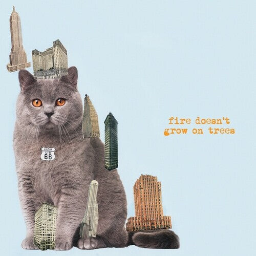 CD диск Brian Jonestown Massacre: Fire Doesn't Grow On Trees
CD диск Brian Jonestown Massacre: Fire Doesn't Grow On Trees