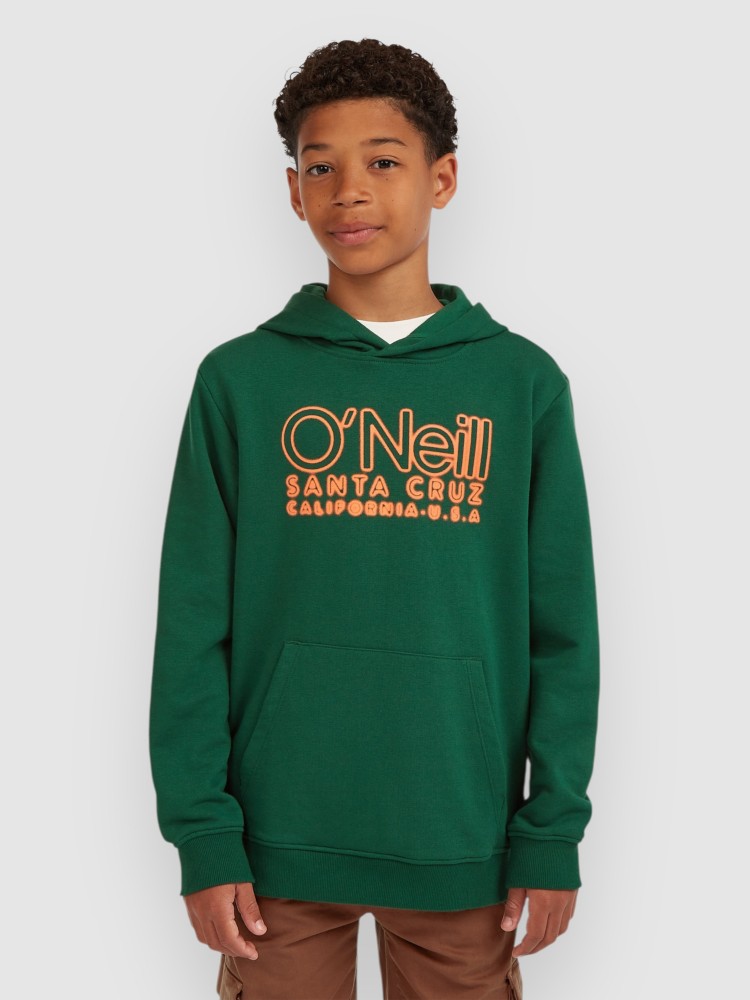 Толстовка O'Neill Essentials Kids Hoodie, emerald envy
Толстовка O'Neill Essentials Kids Hoodie, emerald envy