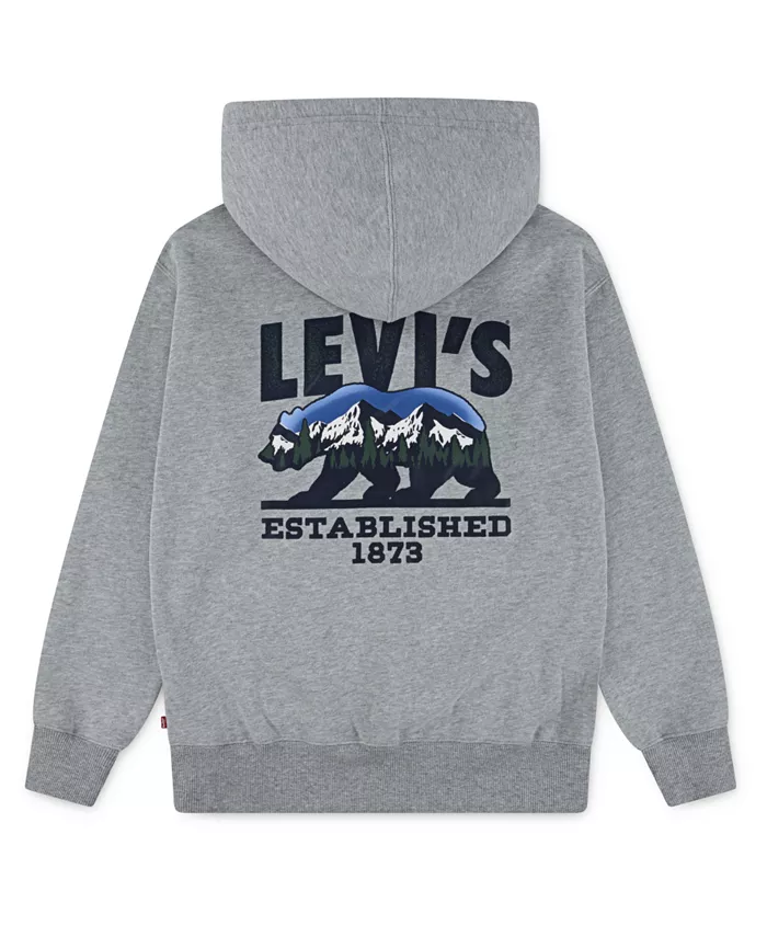 Мальчики 8-20 зимняя медвежья толстовка с капюшоном Levi'S, серый
Мальчики 8-20 зимняя медвежья толстовка с капюшоном Levi'S, серый