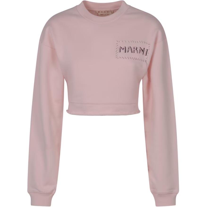 Кроп-толстовка с принтом логотипа MARNI, розовый
Кроп-толстовка с принтом логотипа MARNI, розовый