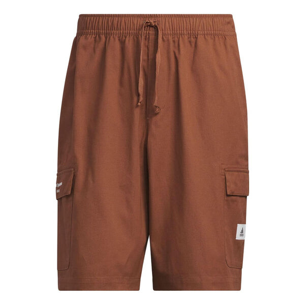 Шорты спортивные шорты карго Adidas, коричневый
Шорты спортивные шорты карго Adidas, коричневый