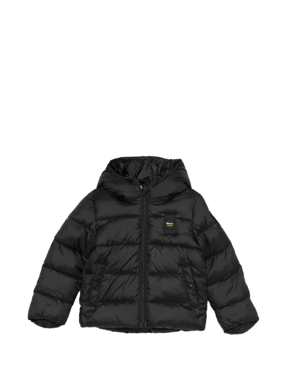 Утепленная куртка с капюшоном Blauer, черный
Утепленная куртка с капюшоном Blauer, черный