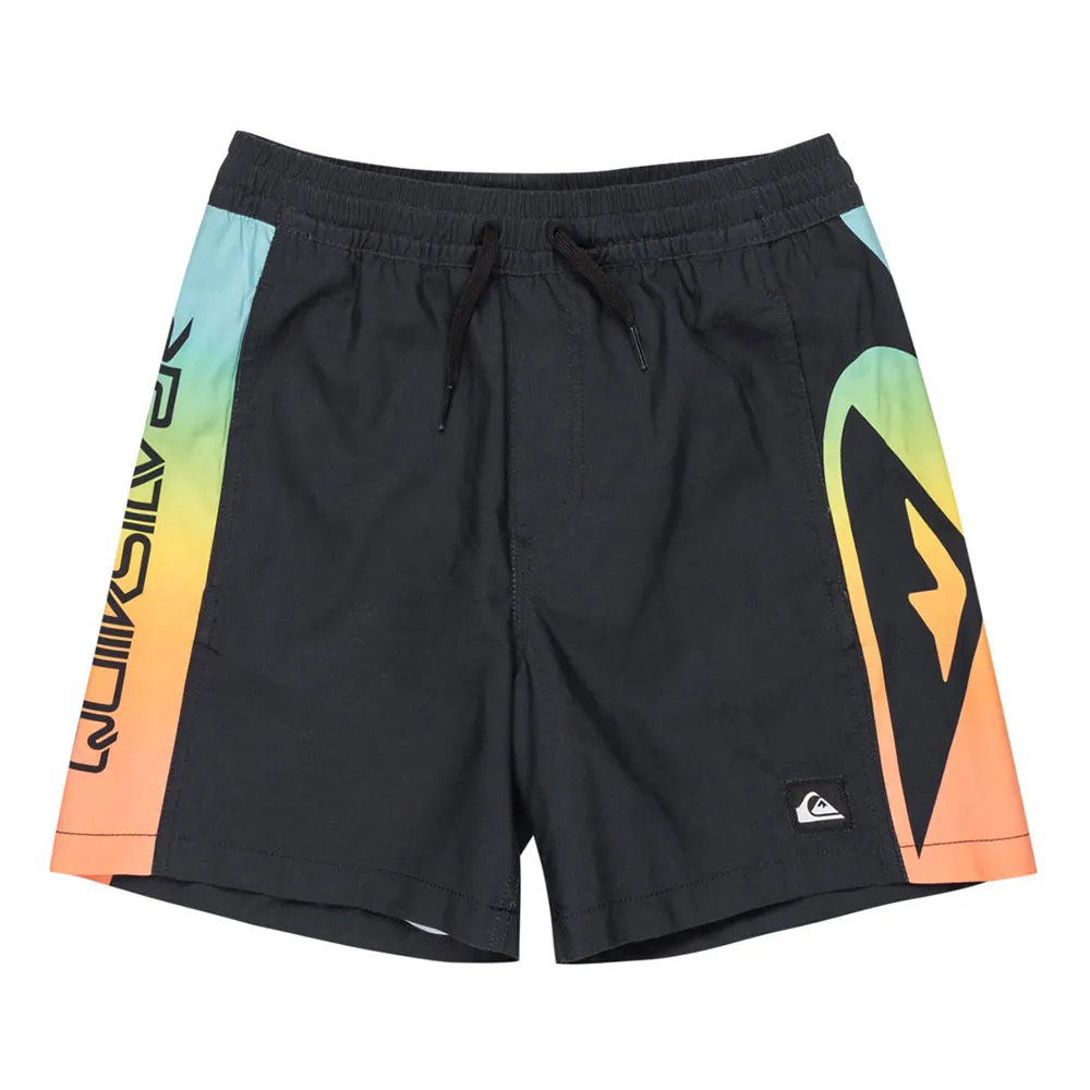 Шорты для плавания Quiksilver Everyday Holmes Volley14, черный
Шорты для плавания Quiksilver Everyday Holmes Volley14, черный