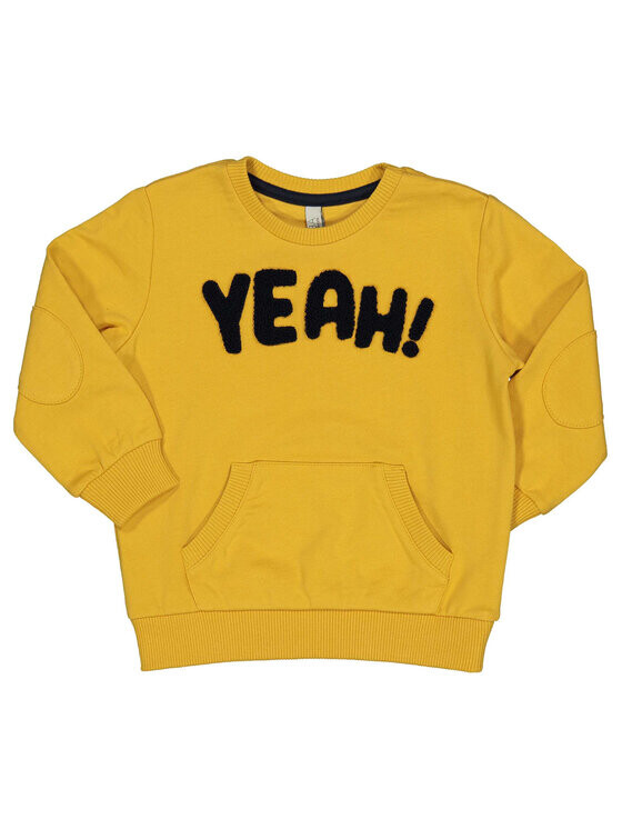 Толстовка обычного кроя Birba Trybeyond, желтый
Толстовка обычного кроя Birba Trybeyond, желтый