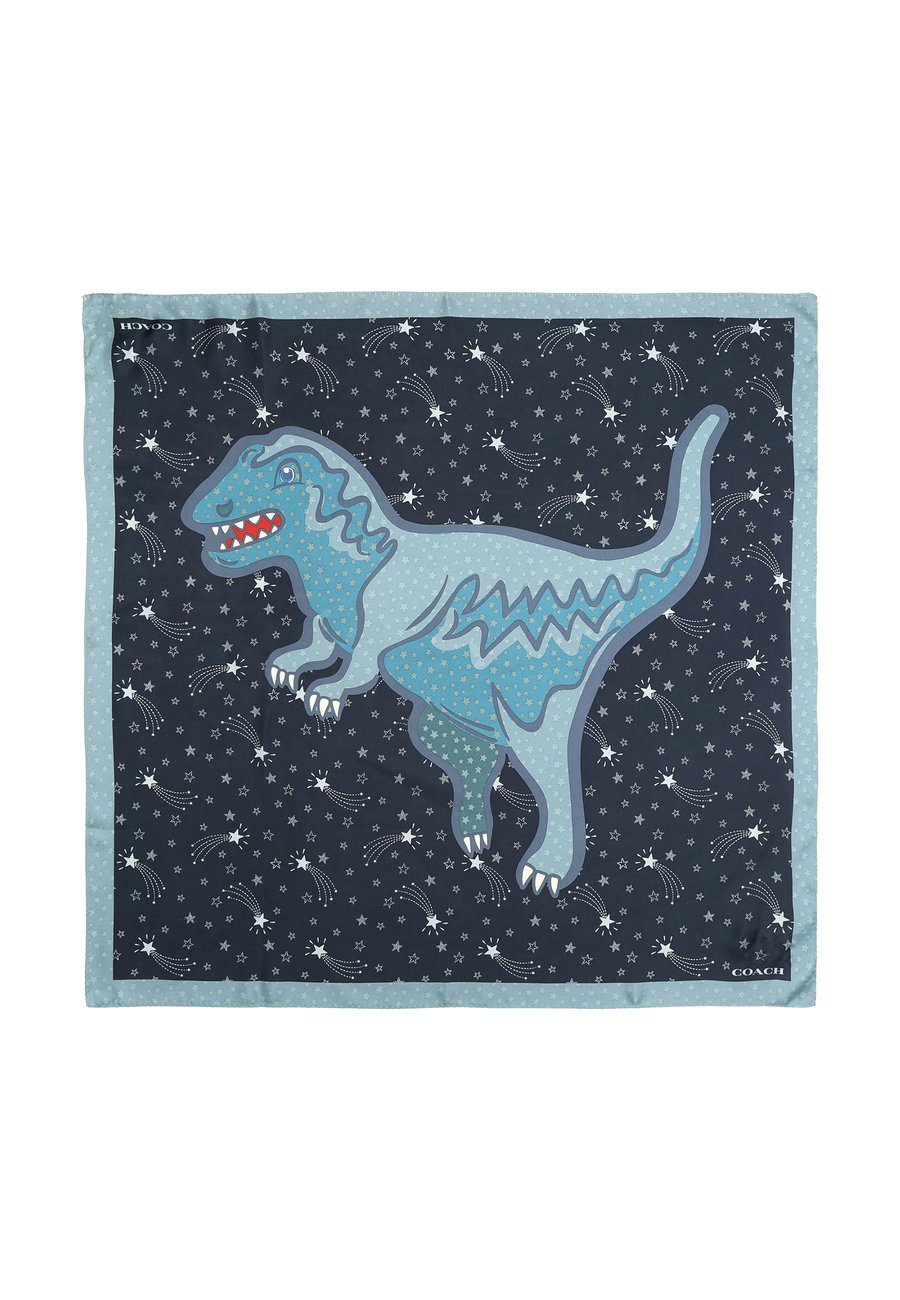 Шарф COACH SHOOTING STAR REXY PRINTED, Open White/Black
Шарф COACH SHOOTING STAR REXY PRINTED, Open White/Black