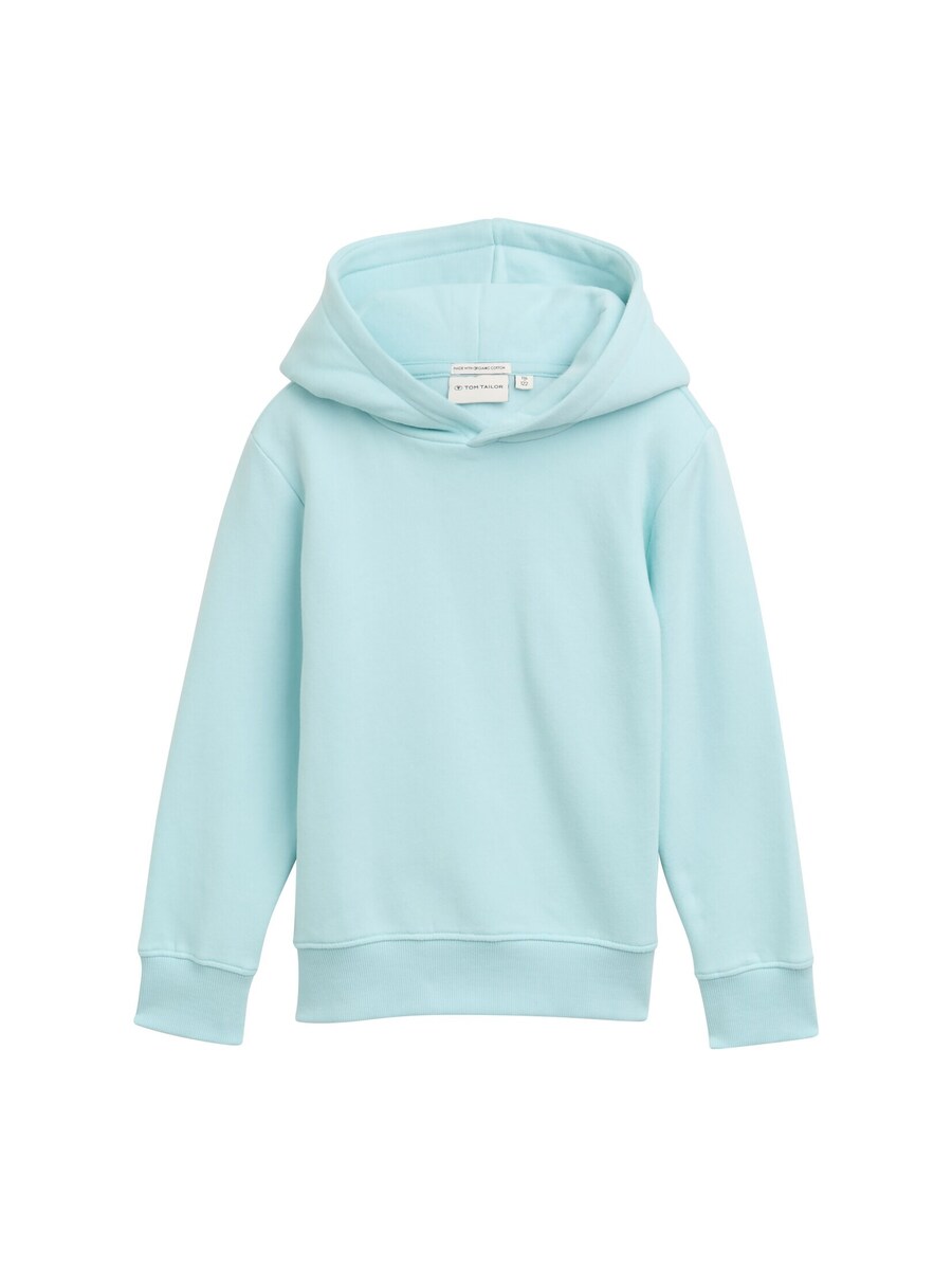 Худи TOM TAILOR Sweatshirt, синий/светло-синий
Худи TOM TAILOR Sweatshirt, синий/светло-синий