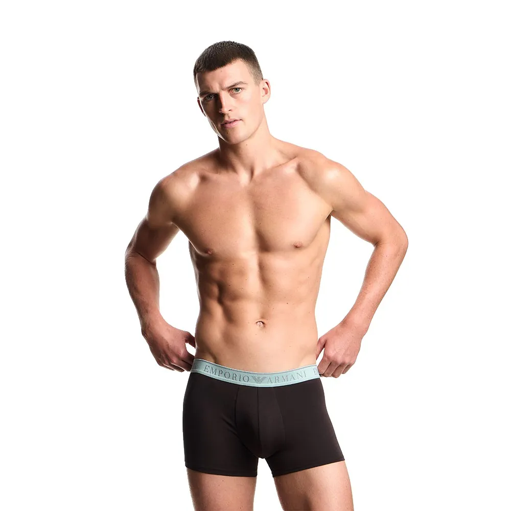 Боксеры Emporio Armani Endurance Trunk 2 units, черный
Боксеры Emporio Armani Endurance Trunk 2 units, черный