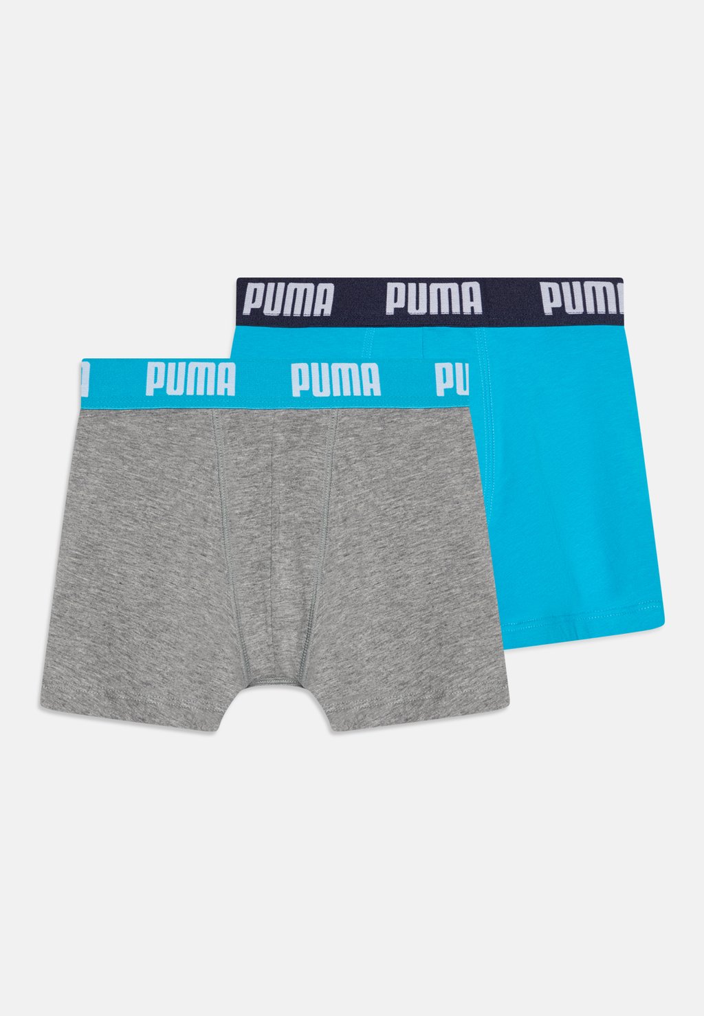 Брюки-кюлоты BOYS EVERYDAY BASIC 2 PACK Puma, черный 
Брюки-кюлоты BOYS EVERYDAY BASIC 2 PACK Puma, черный