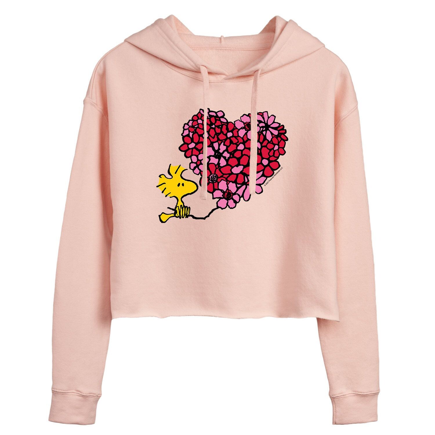 Укороченное худи с цветочным принтом в форме сердца для юниоров Peanuts Woodstock ко Дню святого Валентина Licensed Character
Укороченное худи с цветочным принтом в форме сердца для юниоров Peanuts Woodstock ко Дню святого Валентина Licensed Character