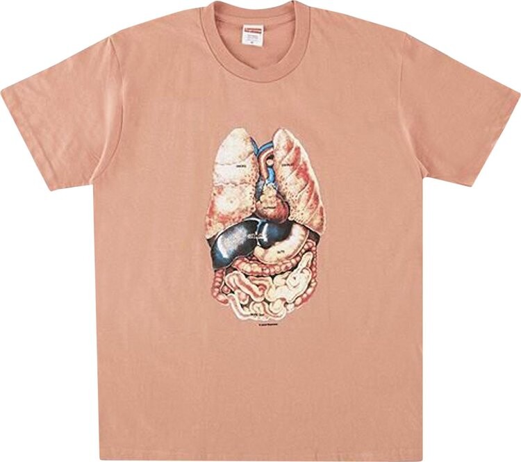 Футболка Supreme Guts Tee 'Terra Cotta', оранжевый
Футболка Supreme Guts Tee 'Terra Cotta', оранжевый