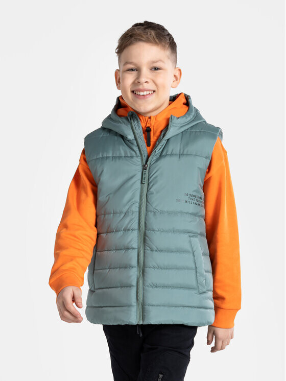 Жилет стандартного кроя Coccodrillo, зеленый
Жилет стандартного кроя Coccodrillo, зеленый