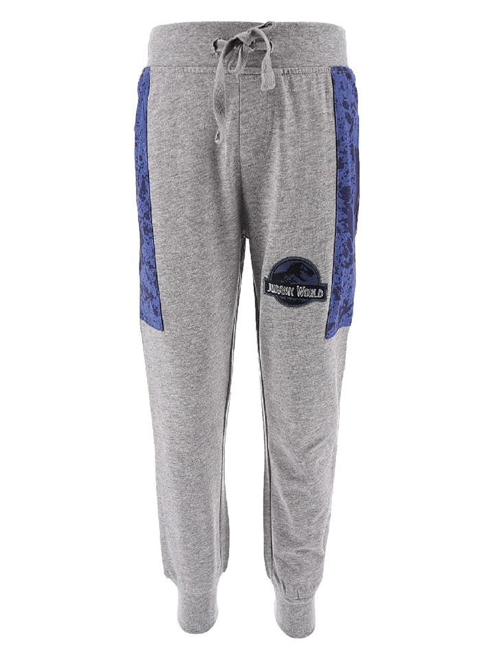 Спортивные брюки Jurassic World, серый
Спортивные брюки Jurassic World, серый