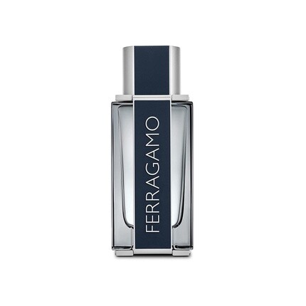 Salvatore Ferragamo Ferragamo PH Edt Vapo 100мл
Salvatore Ferragamo Ferragamo PH Edt Vapo 100мл