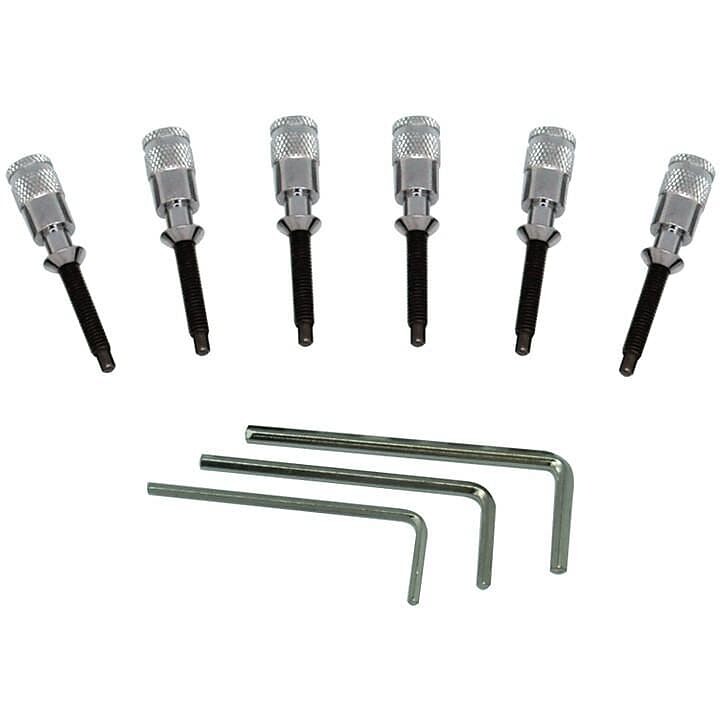 Система интонации Floyd Rose FRHPCP Hollow Point, хром
Система интонации Floyd Rose FRHPCP Hollow Point, хром