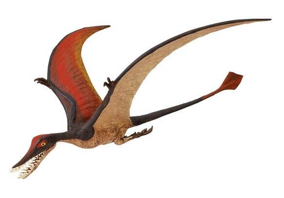 Safari Ltd 300329 Динозавр Рамфорих 18x20,5см
Safari Ltd 300329 Динозавр Рамфорих 18x20,5см