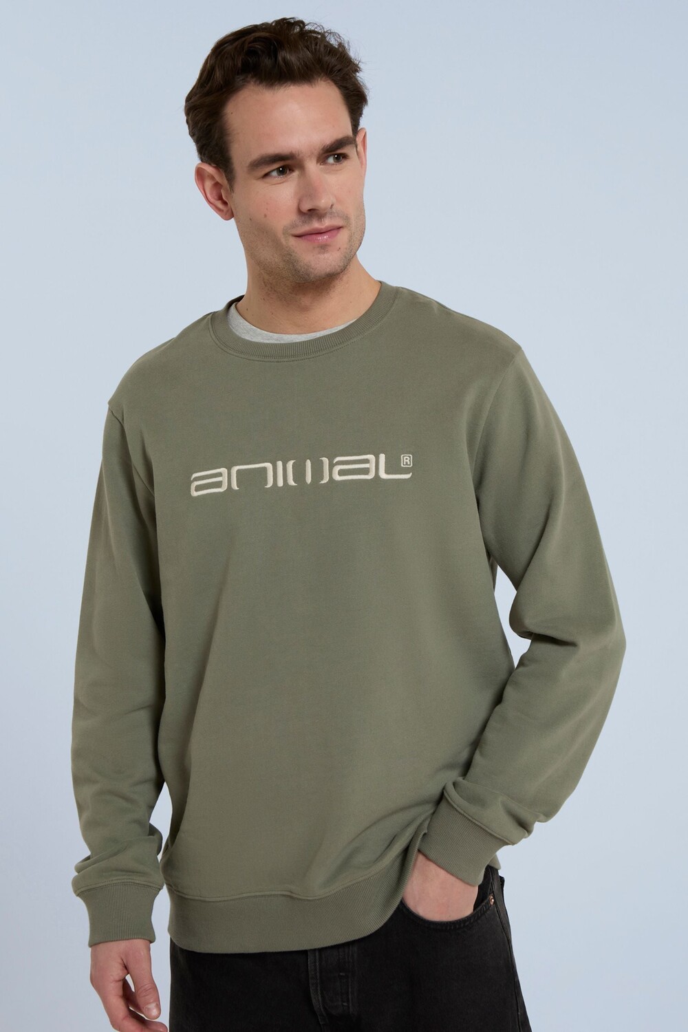 Мужская толстовка из органического материала для водителя Animal, зеленый
Мужская толстовка из органического материала для водителя Animal, зеленый