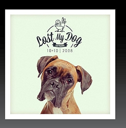CD диск Lost My Dog 10X10: 2008 / Var: Lost My Dog 10x10 - 2008
CD диск Lost My Dog 10X10: 2008 / Var: Lost My Dog 10x10 - 2008